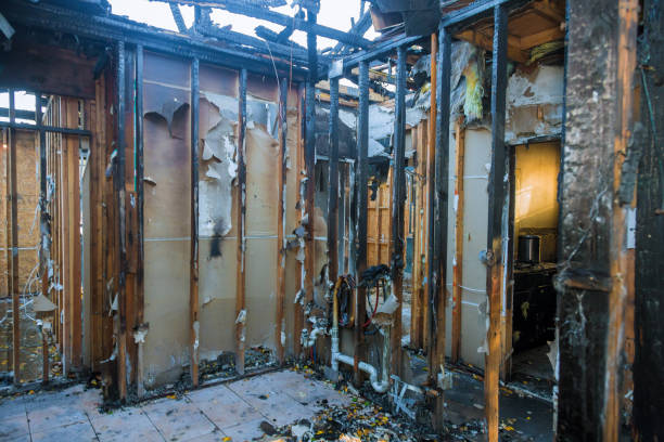 Professional Smoke Damage Removal technician working in Bay City, WI
